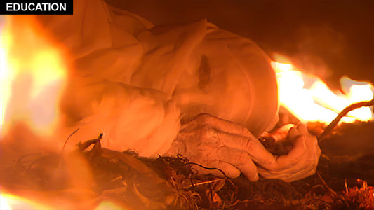 ANNA HALPRIN Films Bundle